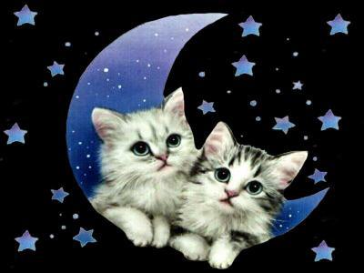 bonne nuit a toute et touts faite de beaux réve bissssssssss