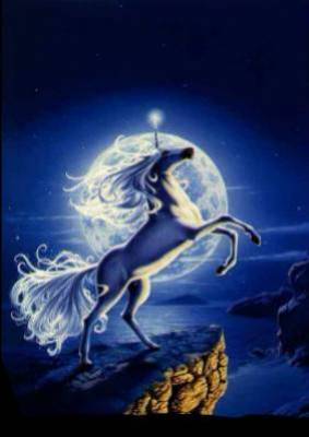 bonne nuit a toute et touts faite de beaux réve bissssssssss