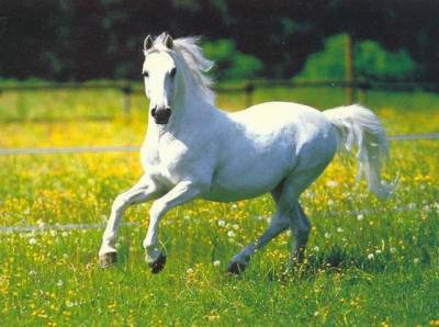 bonjour a toute et touts passer un bon samedi bisssssssssss