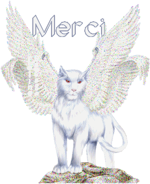 bonjour mait ami(e) pour les com bis